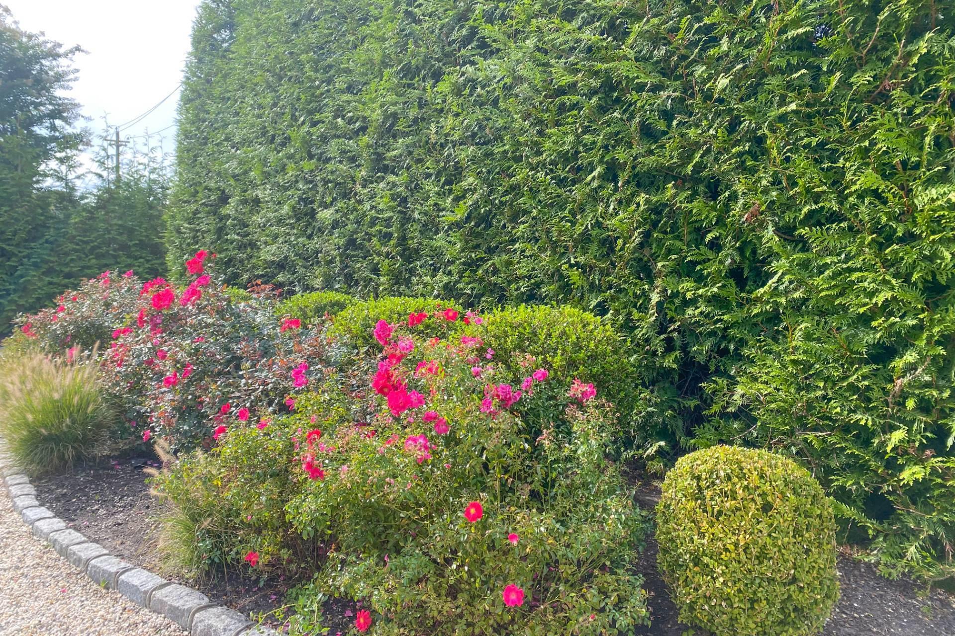 443 Sagaponack Road, Sagaponack, NY 11962