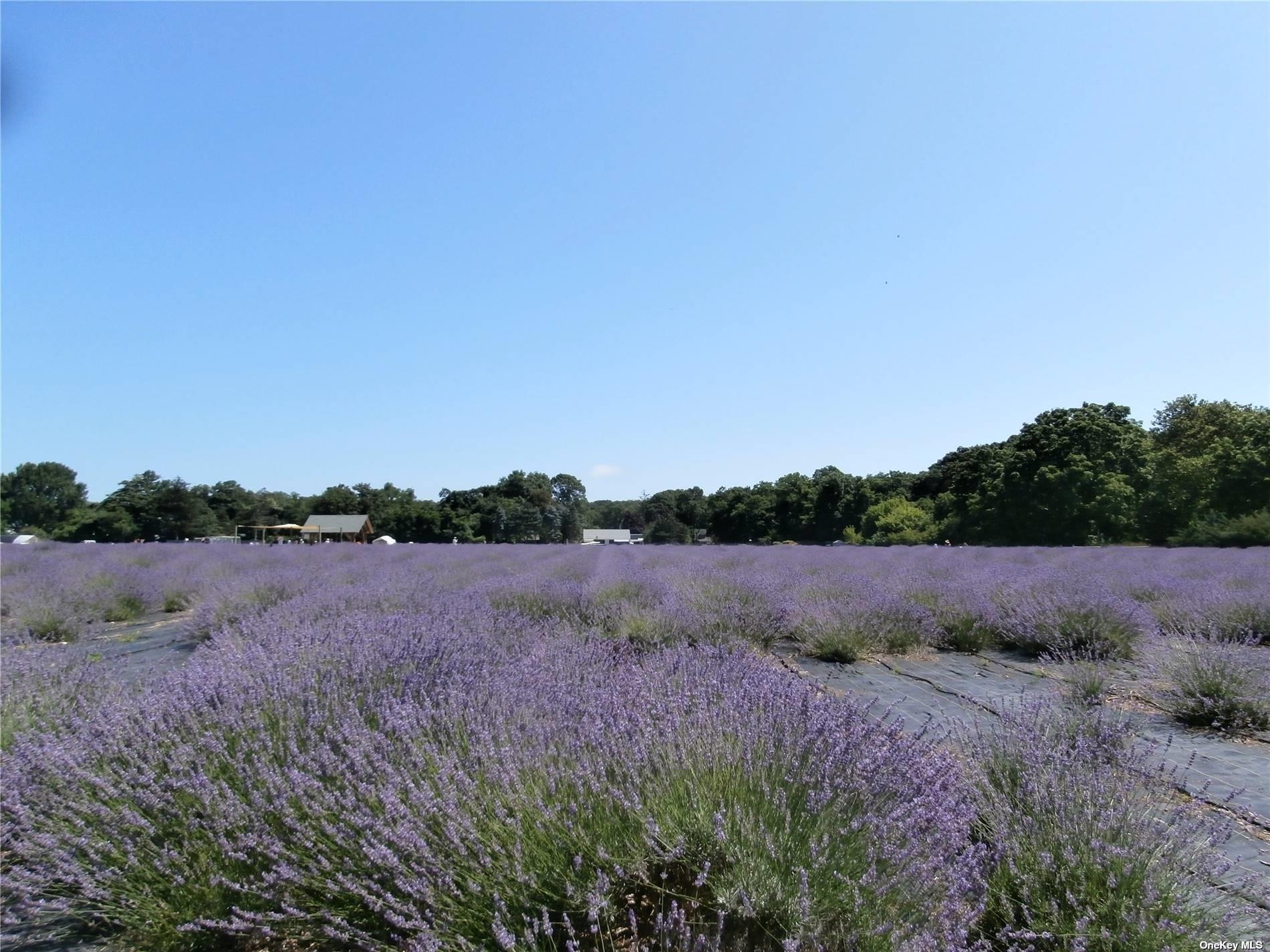 3670 Rocky Point Road, East Marion, NY 11939