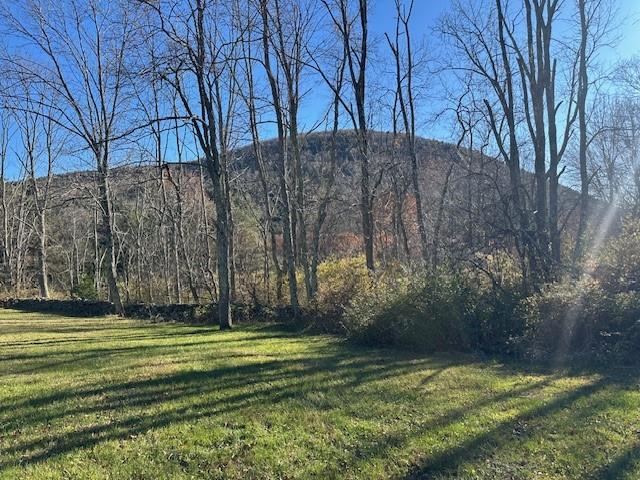 122 Batavia Heights Circle Road, Margaretville, NY 12455