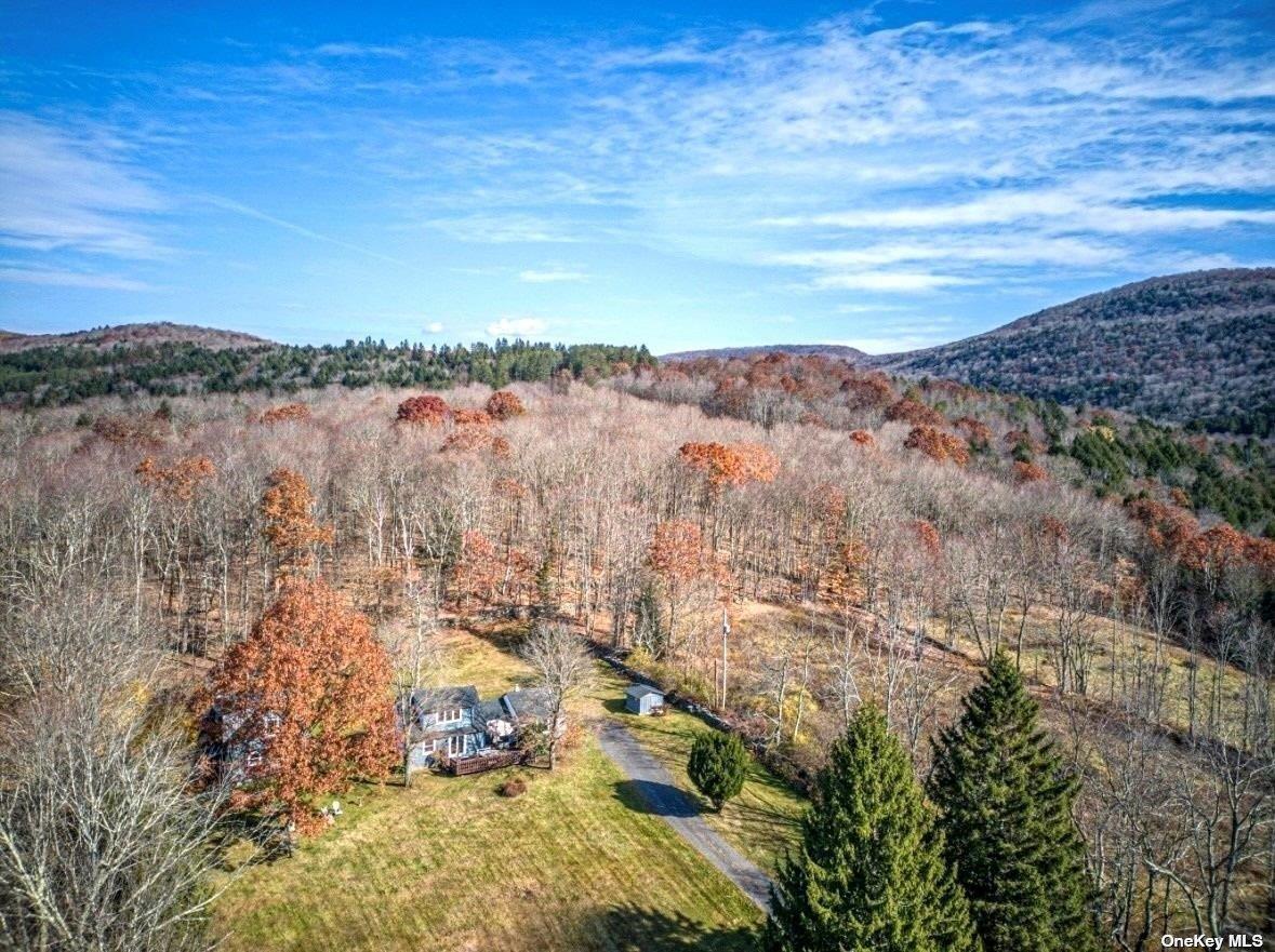 122 Batavia Heights Circle Road, Margaretville, NY 12455