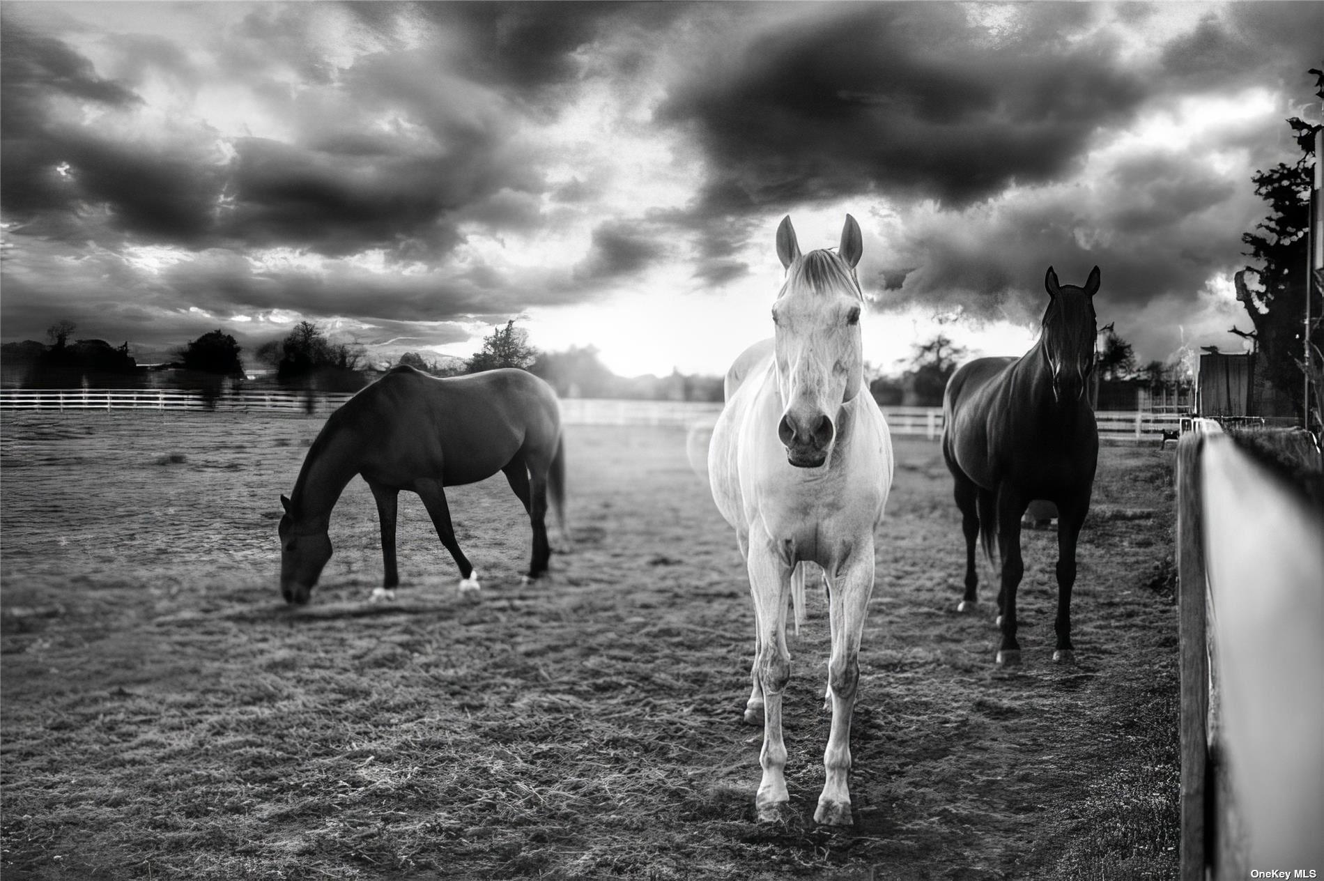 4170/3375+ Indian Neck Lane, Peconic, NY 11958