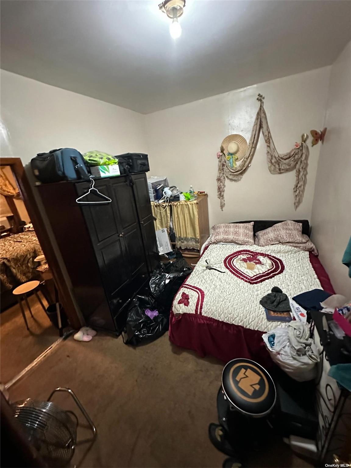 229 Nichols Avenue, Brooklyn, NY 11208