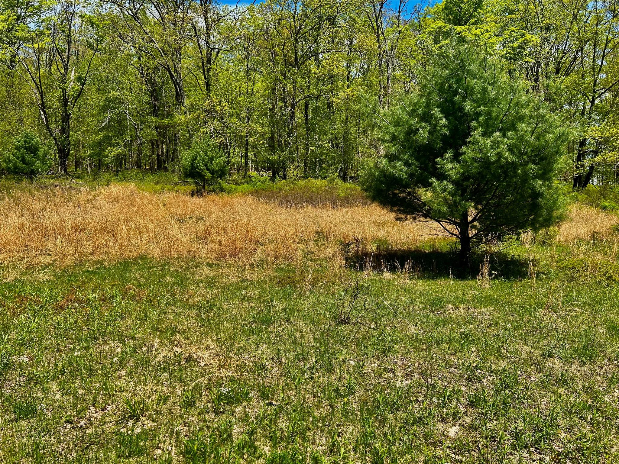 00 Dugway, Austerlitz, NY 12017