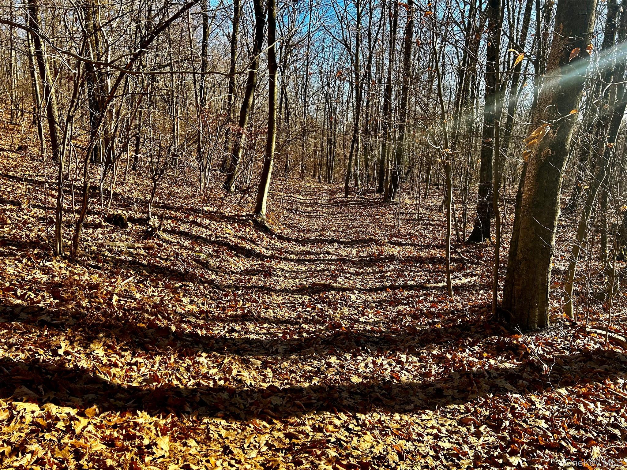 00 Dugway, Austerlitz, NY 12017