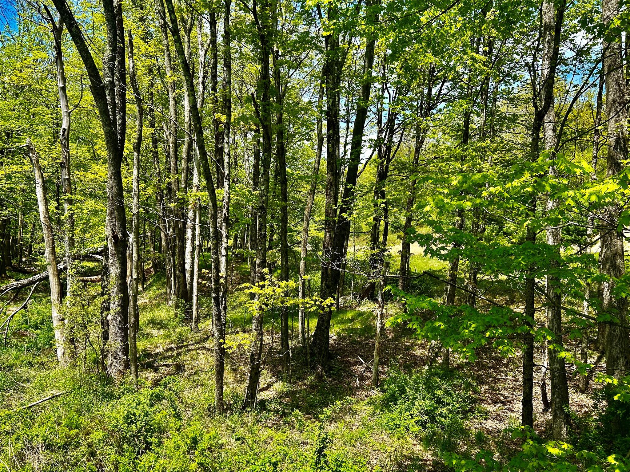 00 Dugway, Austerlitz, NY 12017