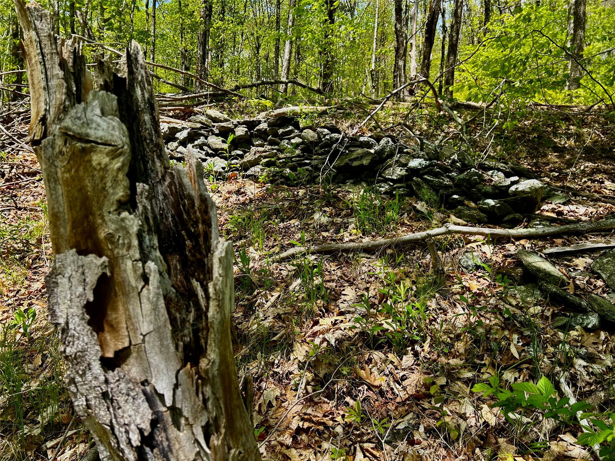 00 Dugway, Austerlitz, NY 12017