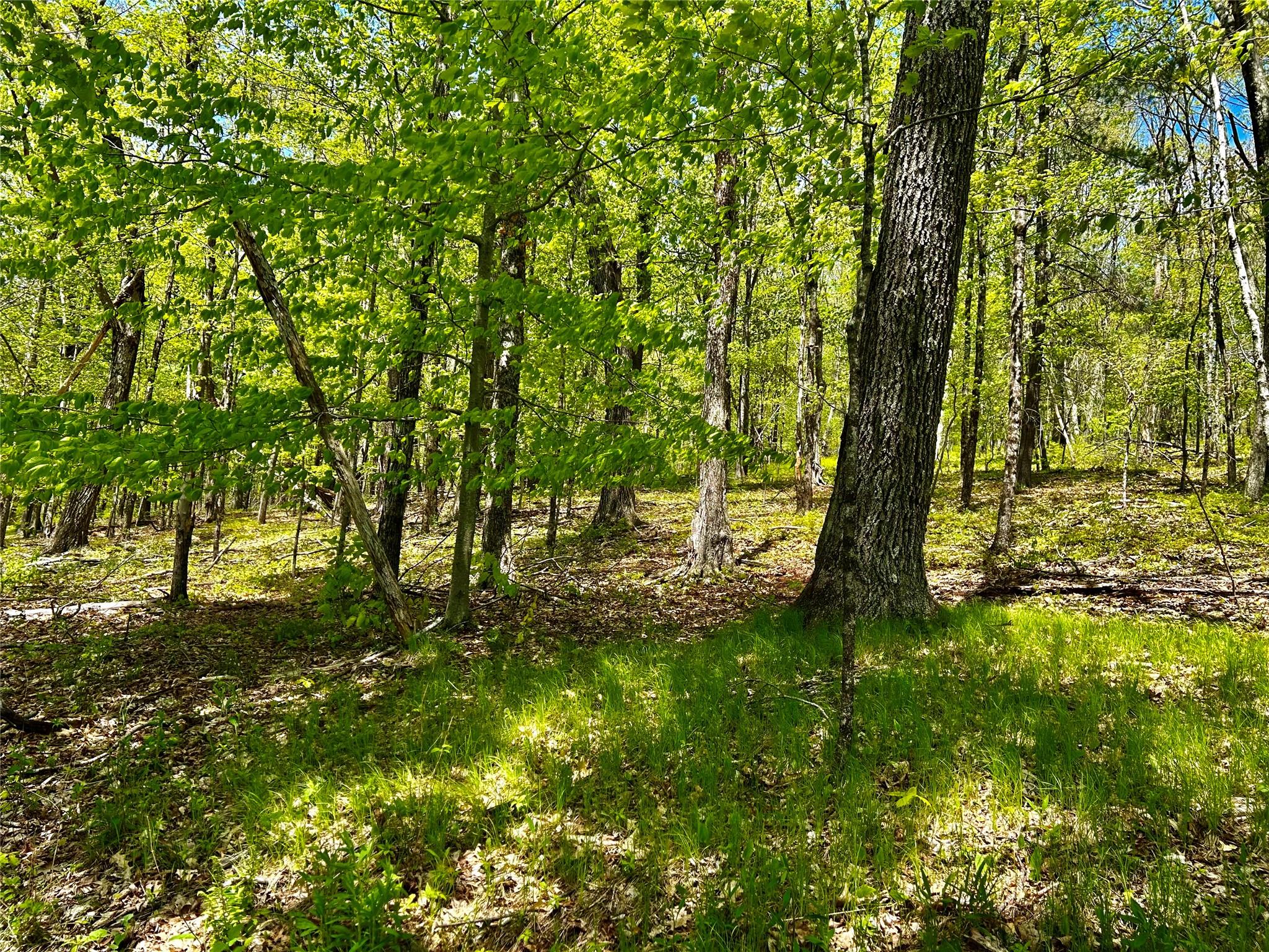 4 West Hill Road, Austerlitz, NY