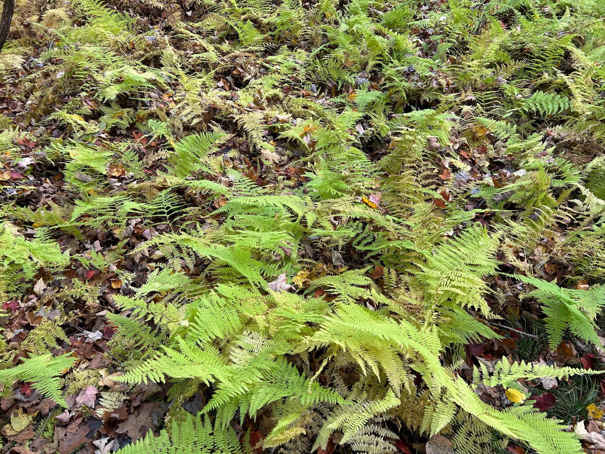 4 West Hill Road, Austerlitz, NY