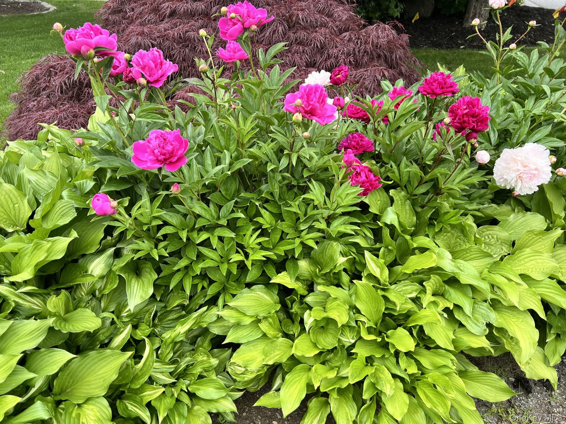 34 Coventry Circle, Mahopac, NY 10541