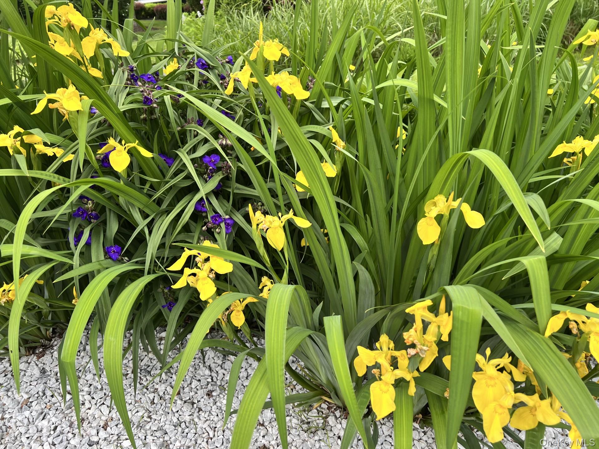 34 Coventry Circle, Mahopac, NY 10541