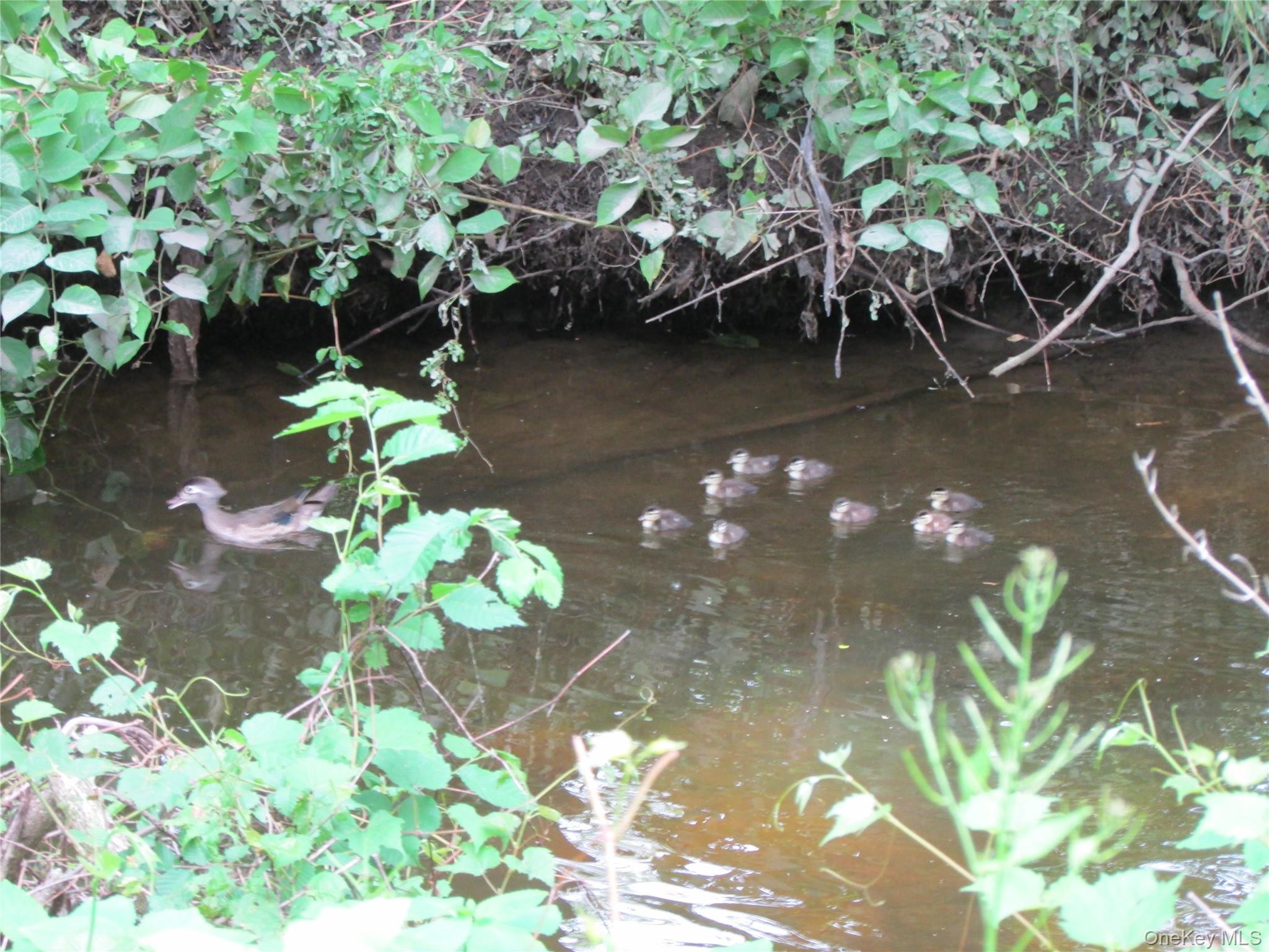 140 Orrs Mills Road, Salisbury Mills, NY 12577