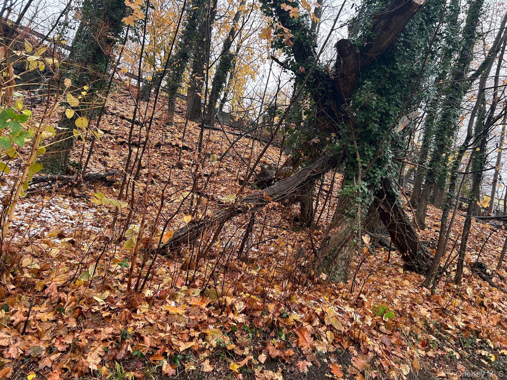 75 Tate Avenue, Piermont, NY 10968