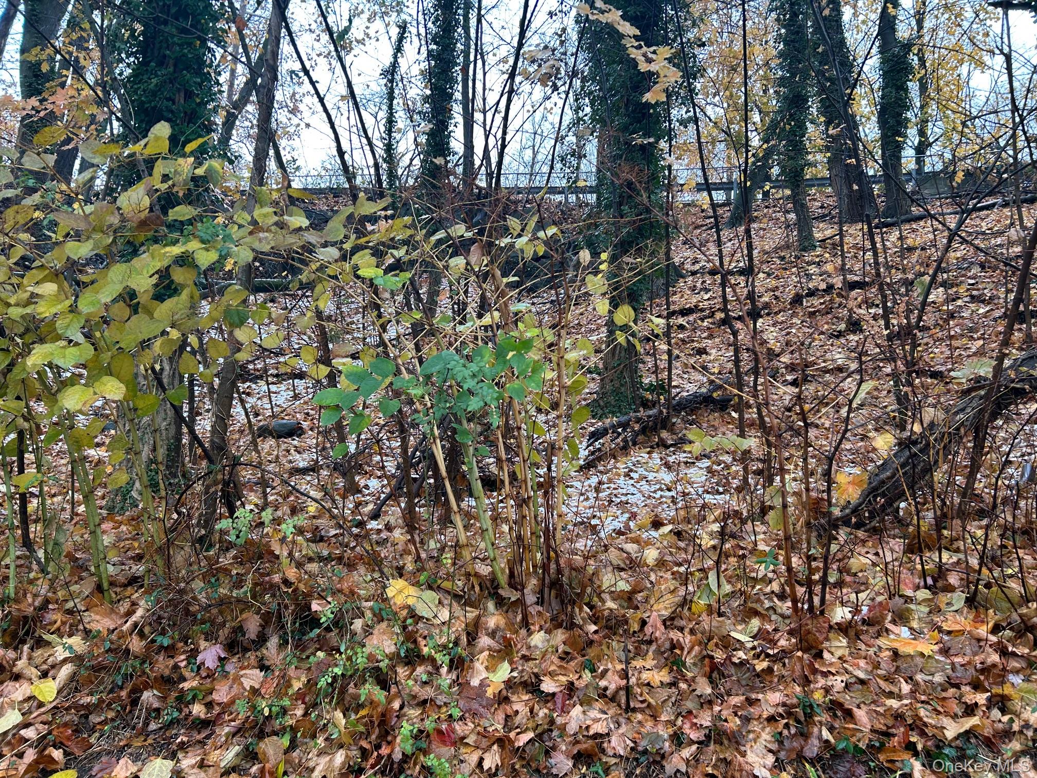 75 Tate Avenue, Piermont, NY 10968