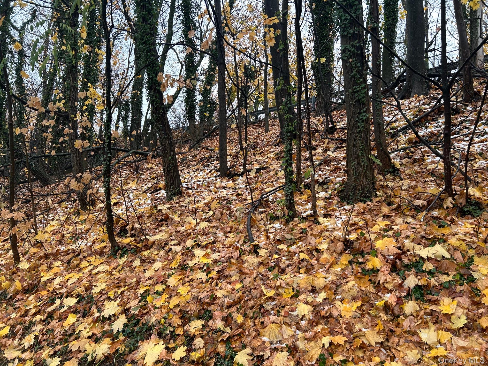 75 Tate Avenue, Piermont, NY 10968