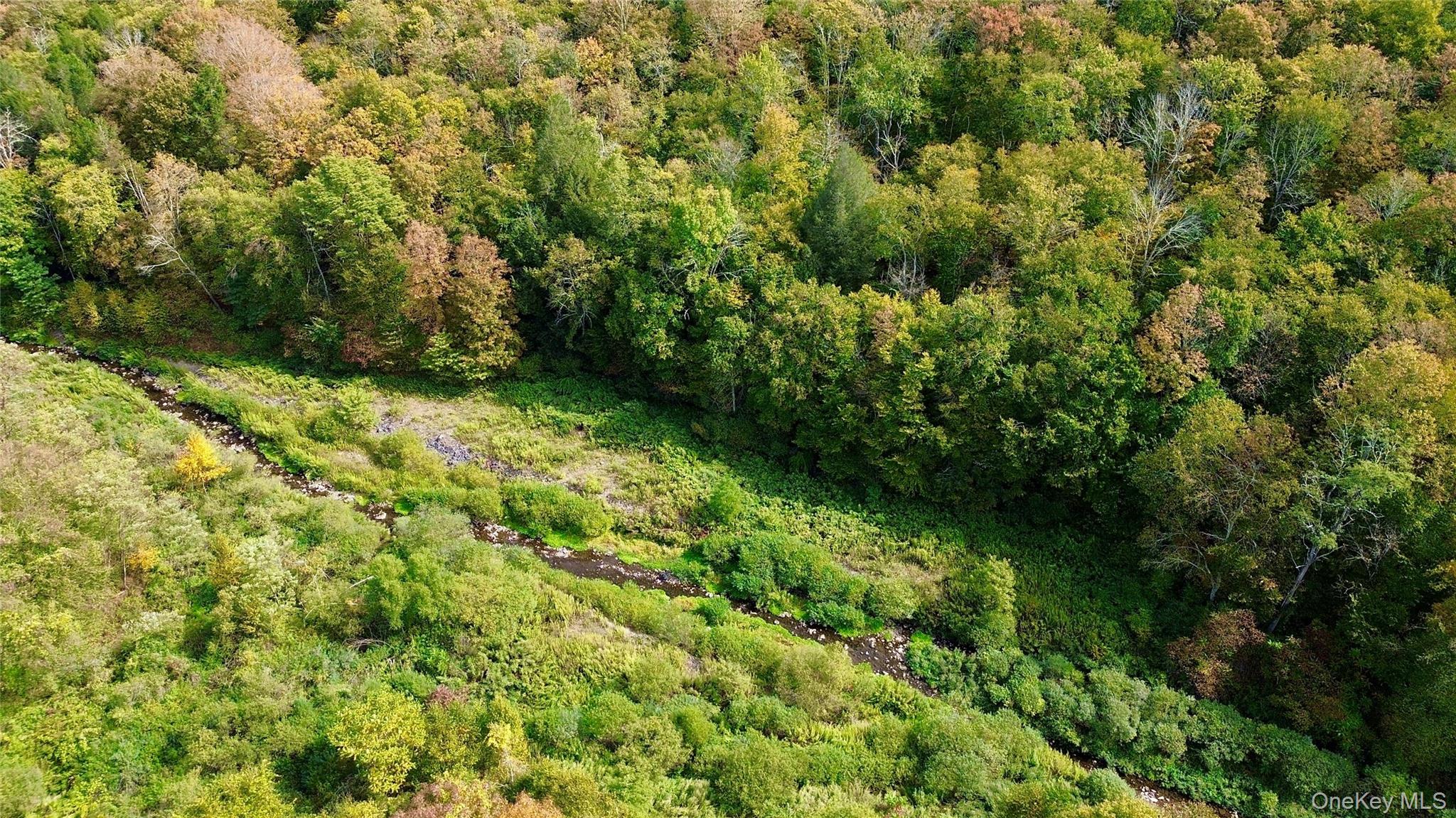 Shandelee Road, Youngsville, NY 12791