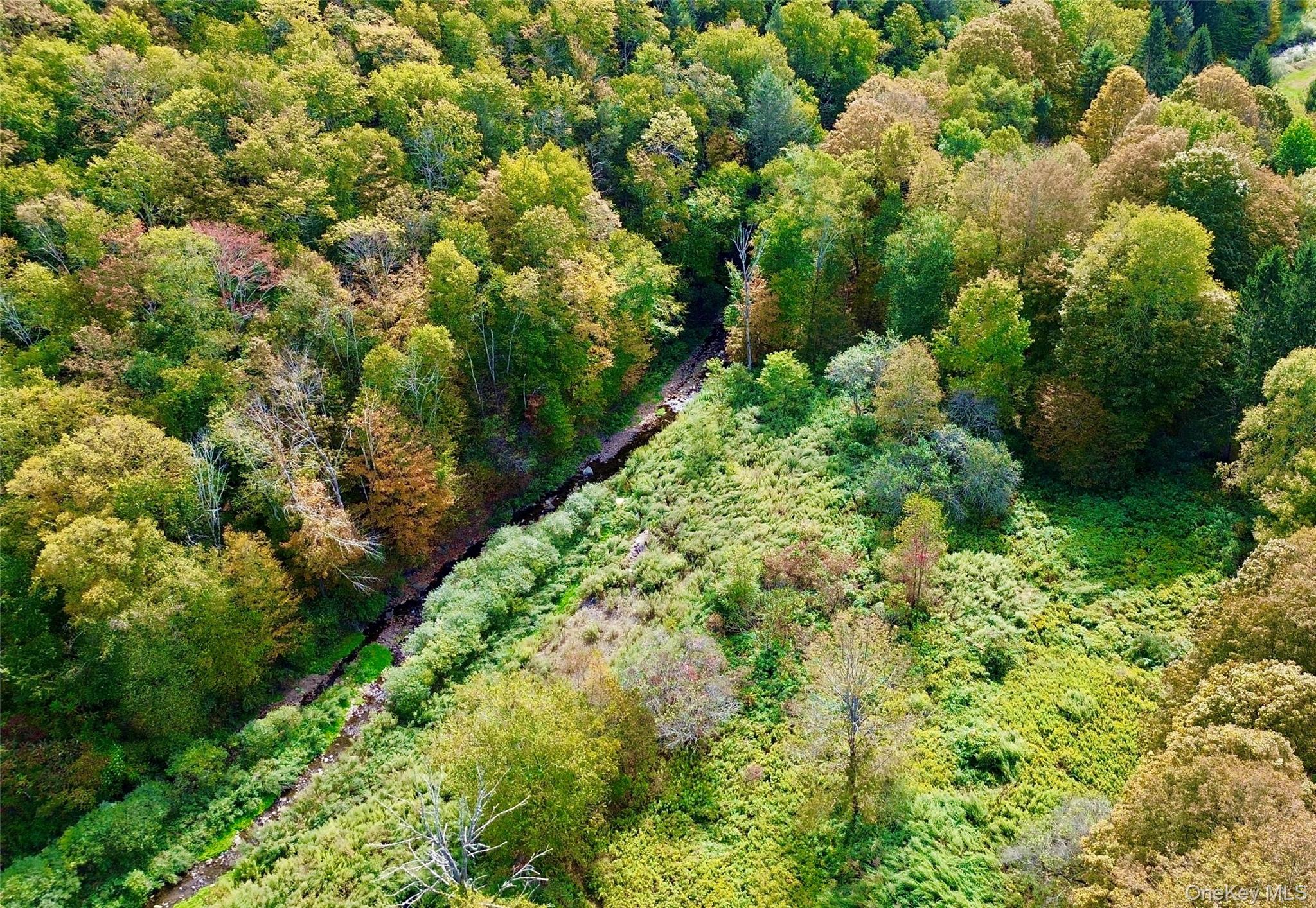 Shandelee Road, Youngsville, NY 12791