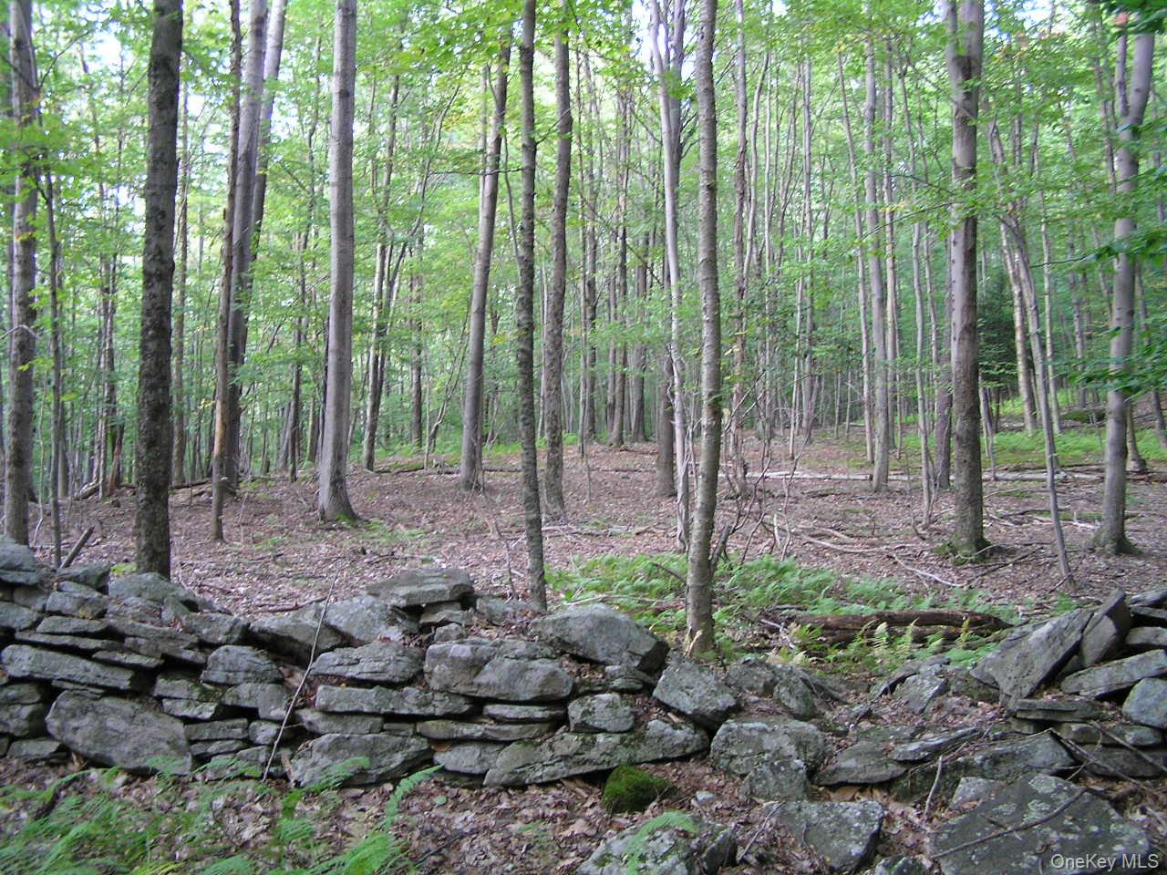 Shandelee Road, Youngsville, NY 12791