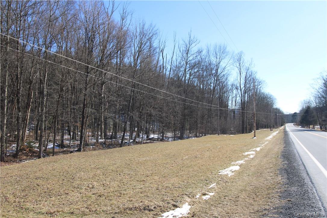 Shandelee Road, Youngsville, NY 12791
