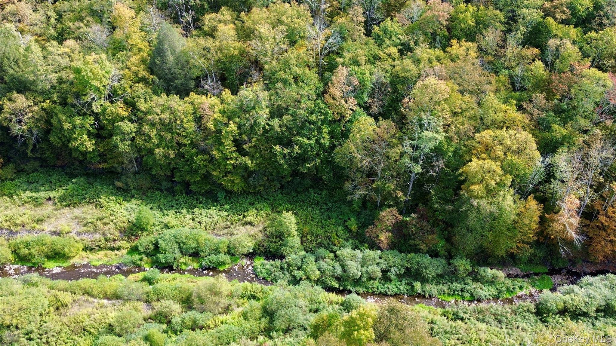 Shandelee Road, Youngsville, NY 12791