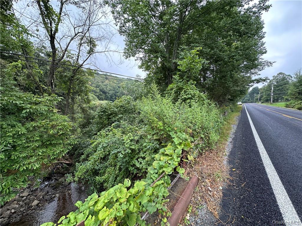 Shandelee Road, Youngsville, NY 12791