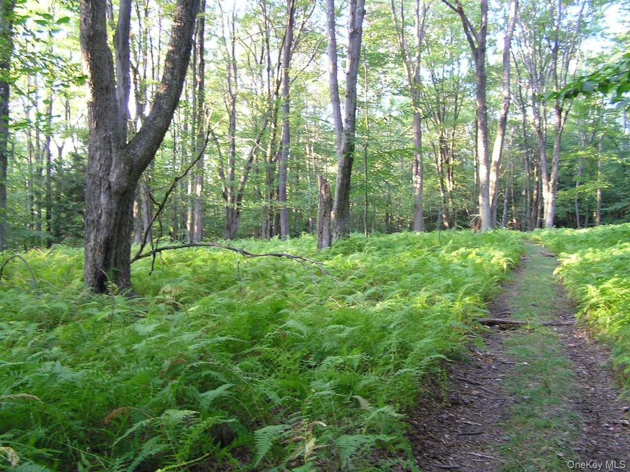 Shandelee Road, Youngsville, NY 12791