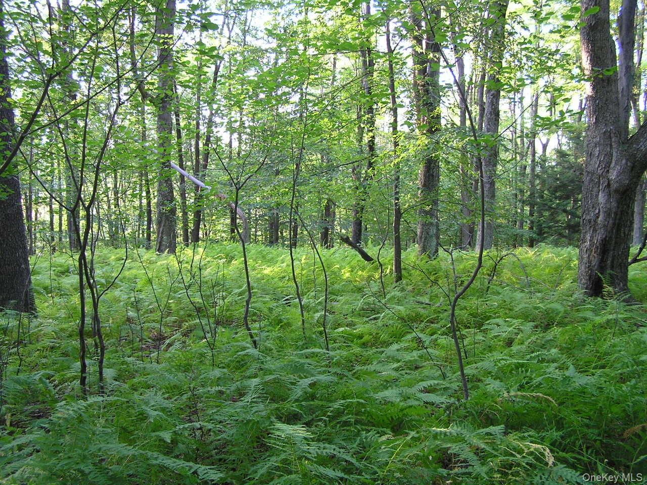 Shandelee Road, Youngsville, NY 12791