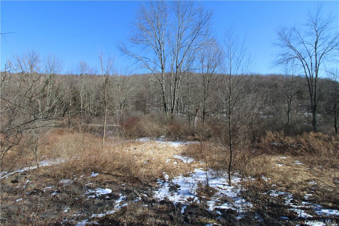 Shandelee Road, Youngsville, NY 12791