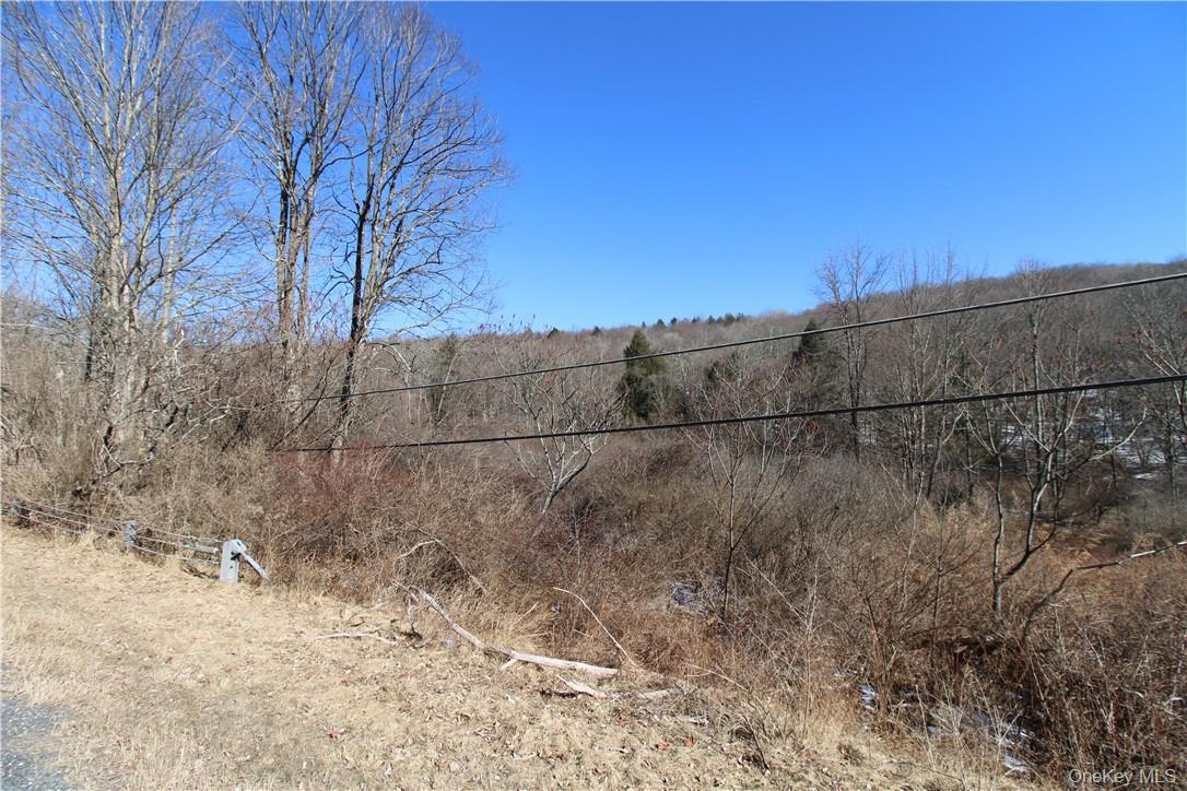 Shandelee Road, Youngsville, NY 12791