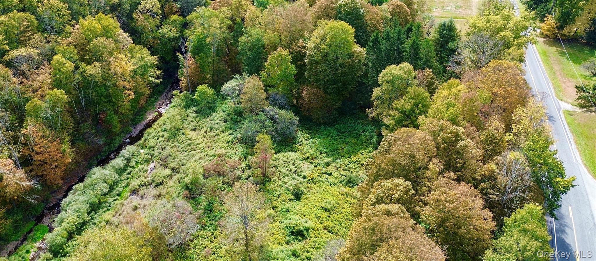 Shandelee Road, Youngsville, NY 12791