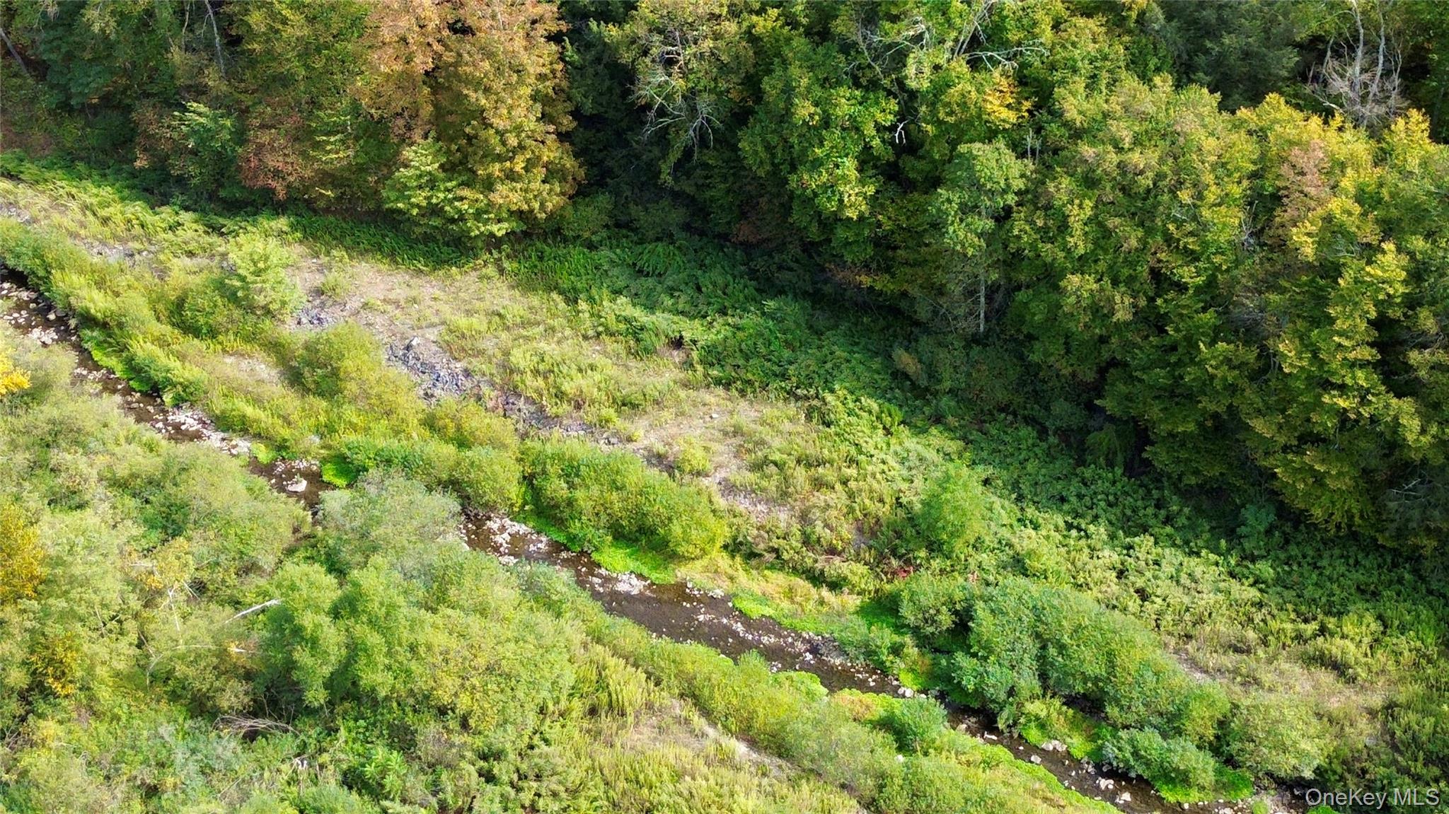 Shandelee Road, Youngsville, NY 12791