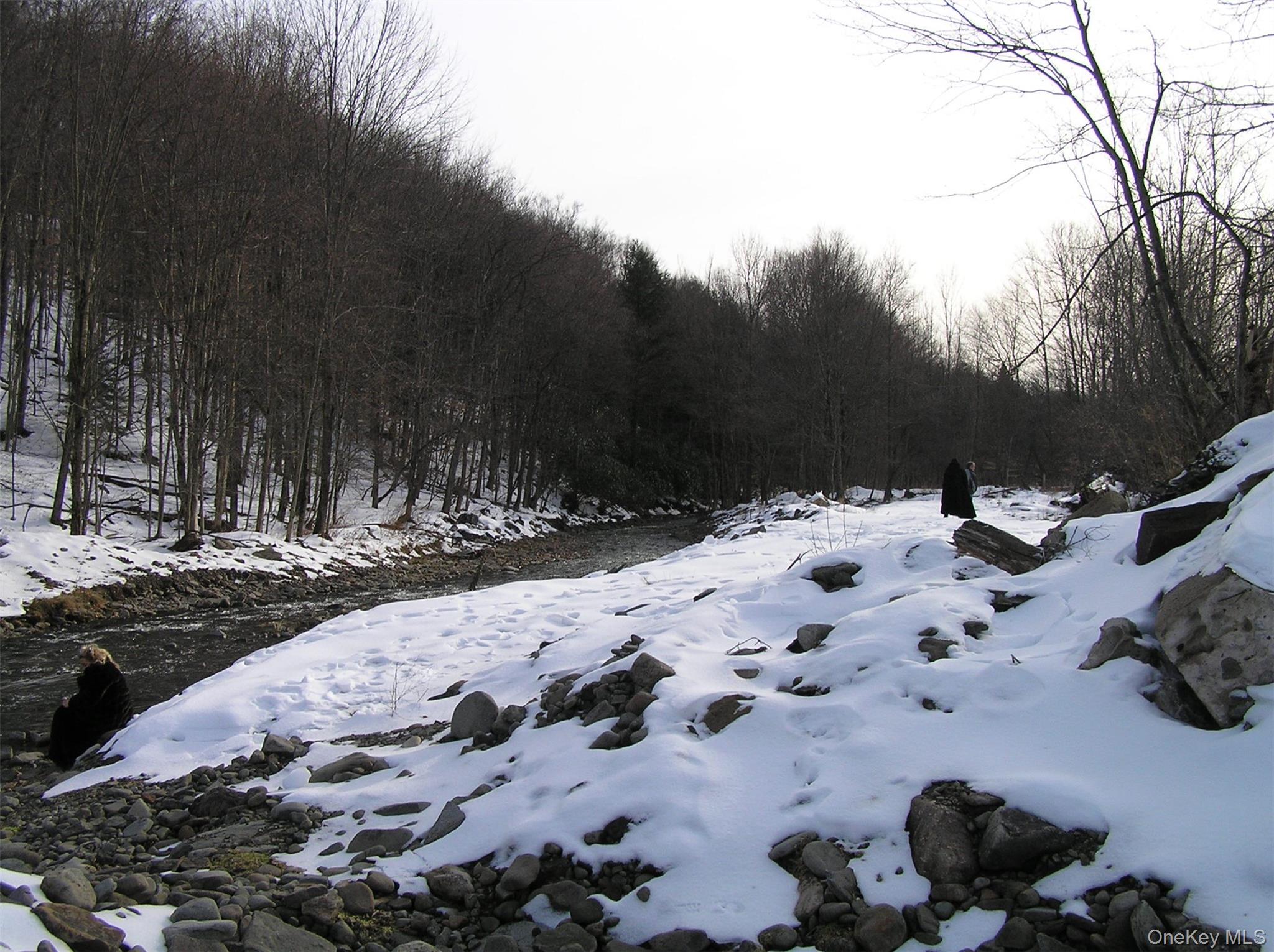 Shandelee Road, Youngsville, NY 12791