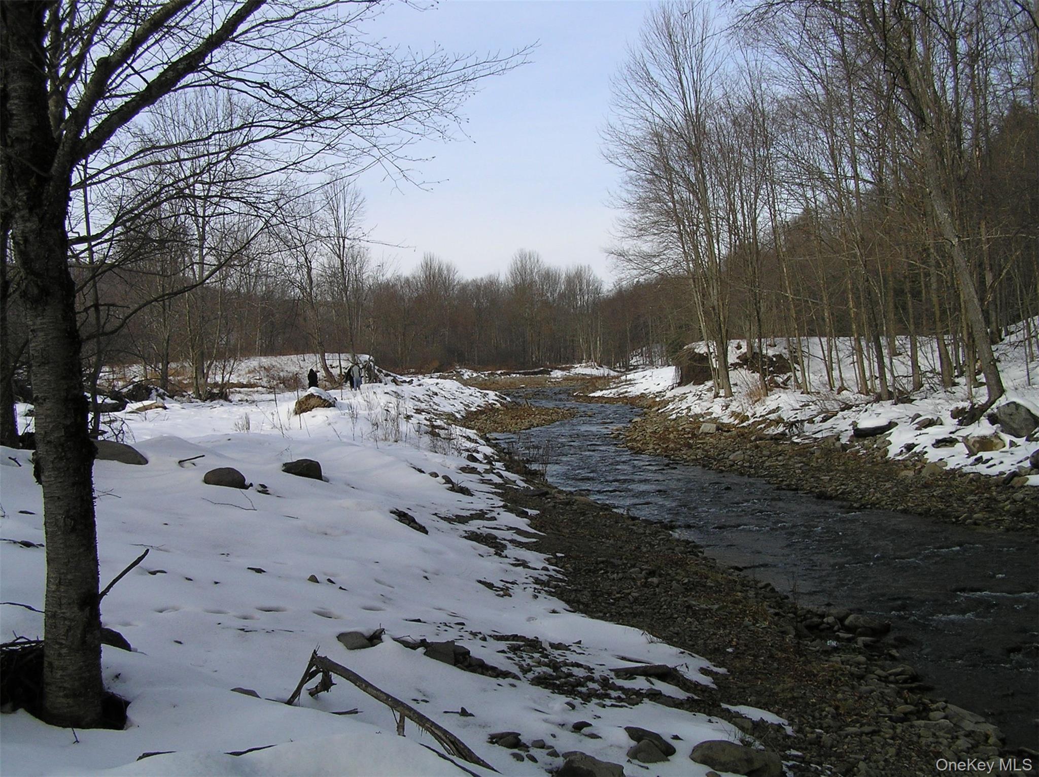 Shandelee Road, Youngsville, NY 12791