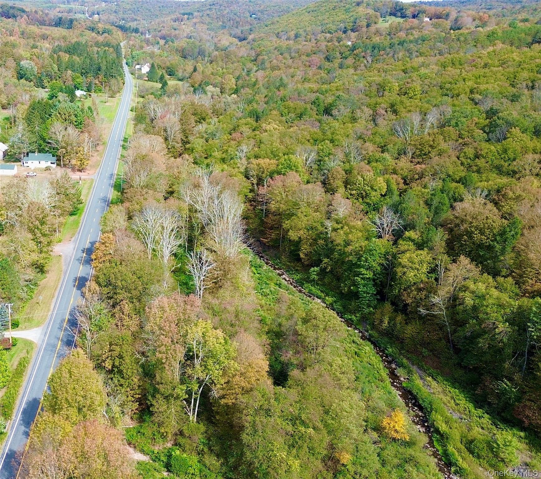 Shandelee Road, Youngsville, NY 12791