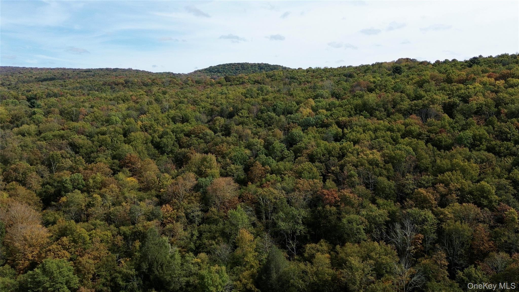 Shandelee Road, Youngsville, NY 12791