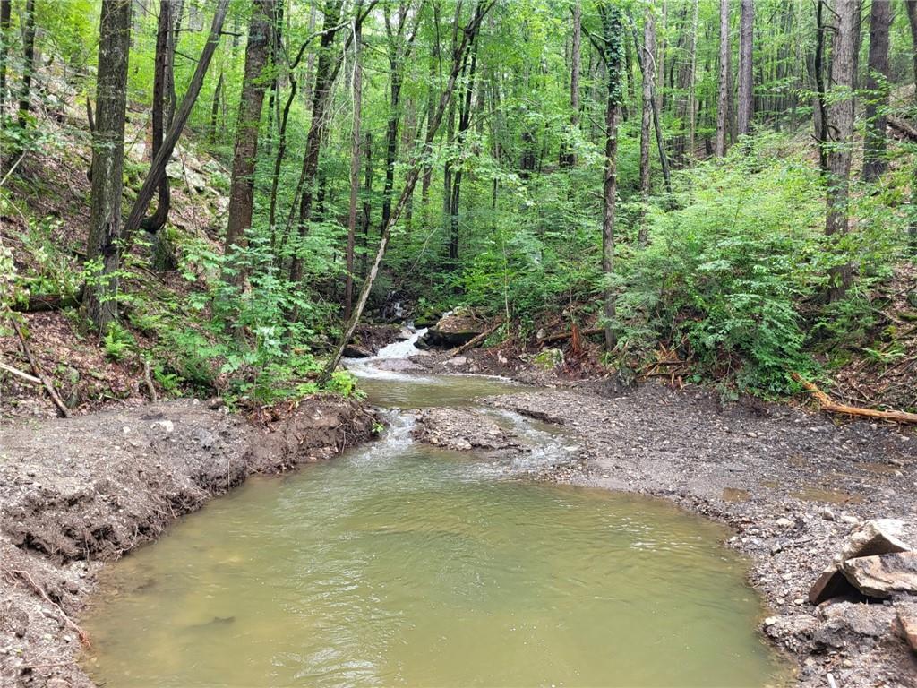 Old Plank Road, Cragsmoor, NY 12420