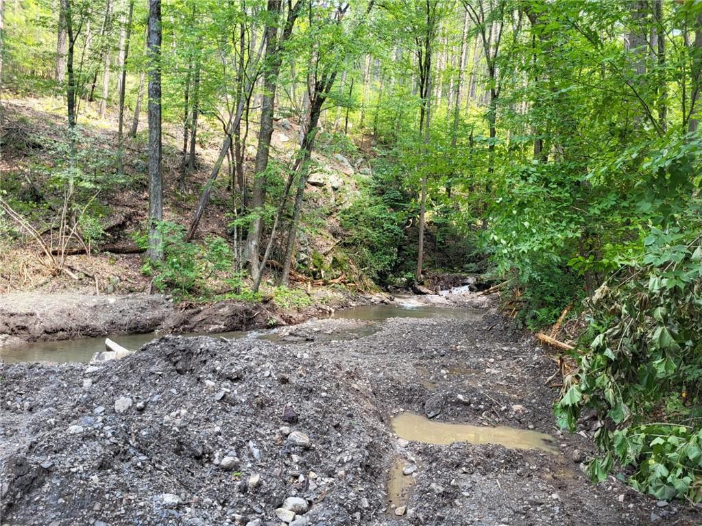 Old Plank Road, Cragsmoor, NY 12420