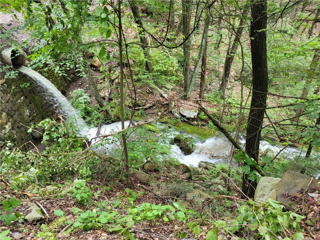 Old Plank Road, Cragsmoor, NY 12420