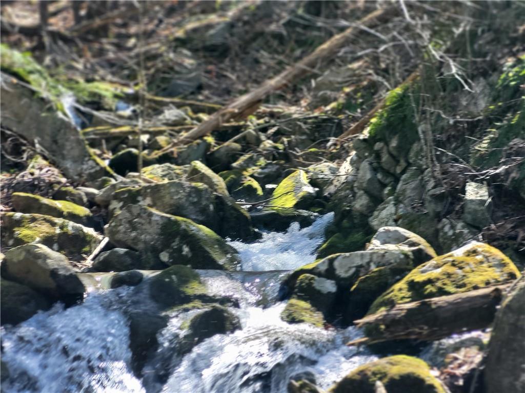 Old Plank Road, Cragsmoor, NY 12420