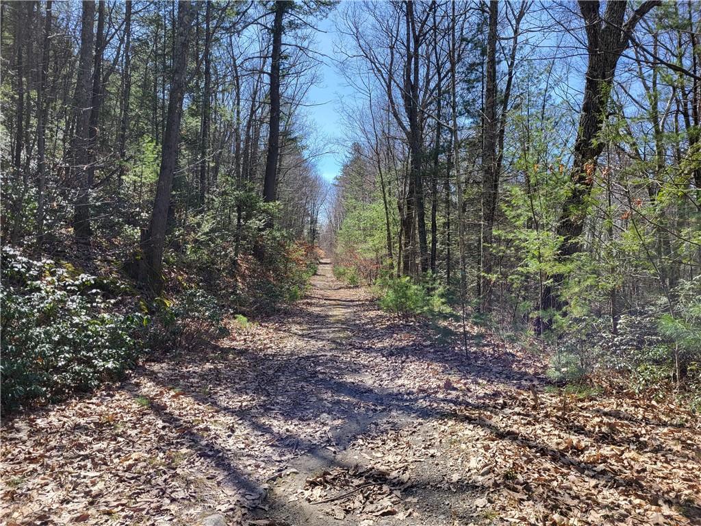 Old Plank Road, Cragsmoor, NY 12420