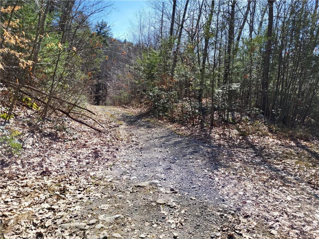 Old Plank Road, Cragsmoor, NY 12420