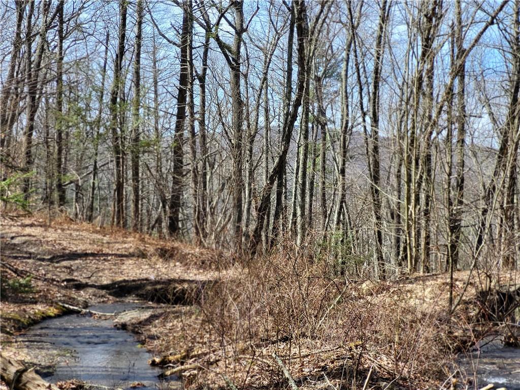 Old Plank Road, Cragsmoor, NY 12420