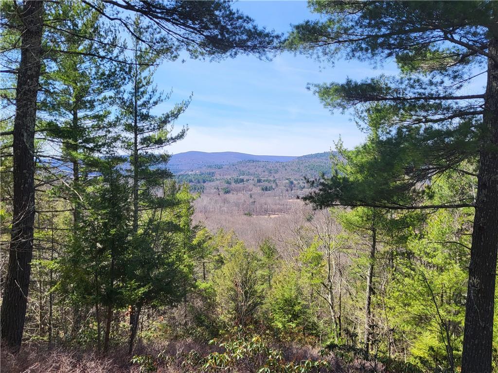 Old Plank Road, Cragsmoor, NY 12420