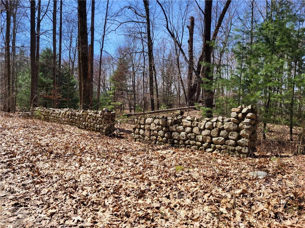Old Plank Road, Cragsmoor, NY 12420