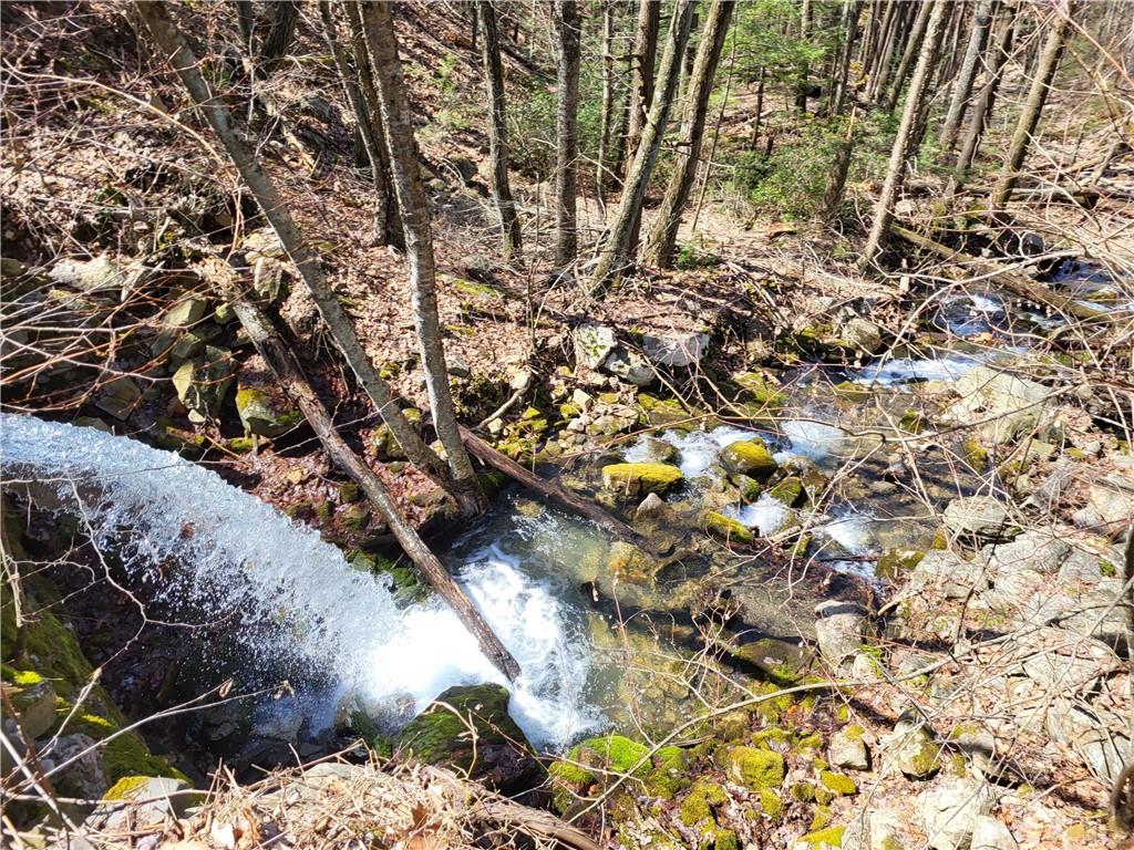 Old Plank Road, Cragsmoor, NY 12420