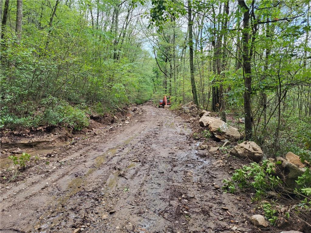 Old Plank Road, Cragsmoor, NY 12420