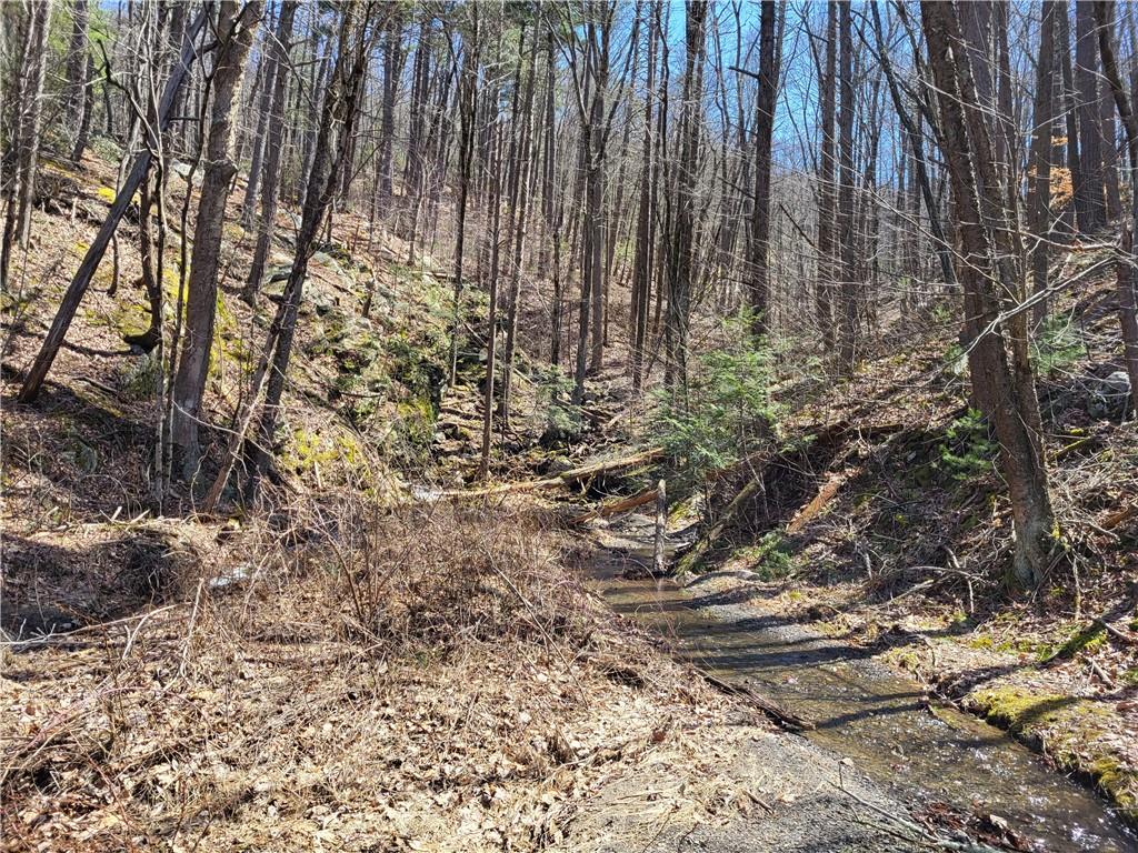 Old Plank Road, Cragsmoor, NY 12420