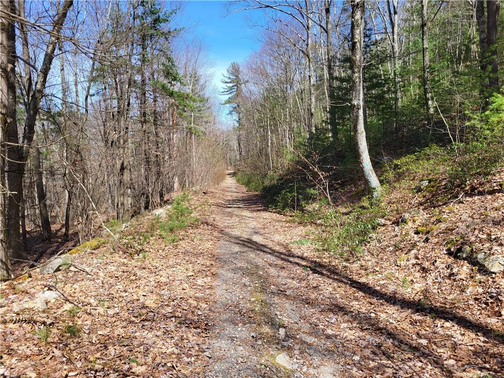 Old Plank Road, Cragsmoor, NY 12420