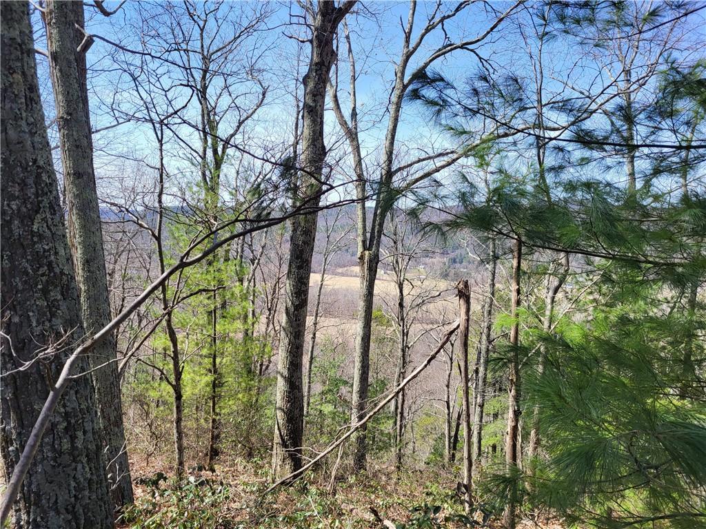 Old Plank Road, Cragsmoor, NY 12420