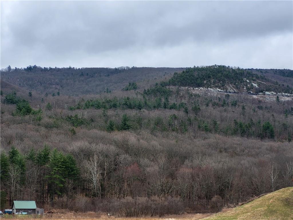 Old Plank Road, Cragsmoor, NY 12420