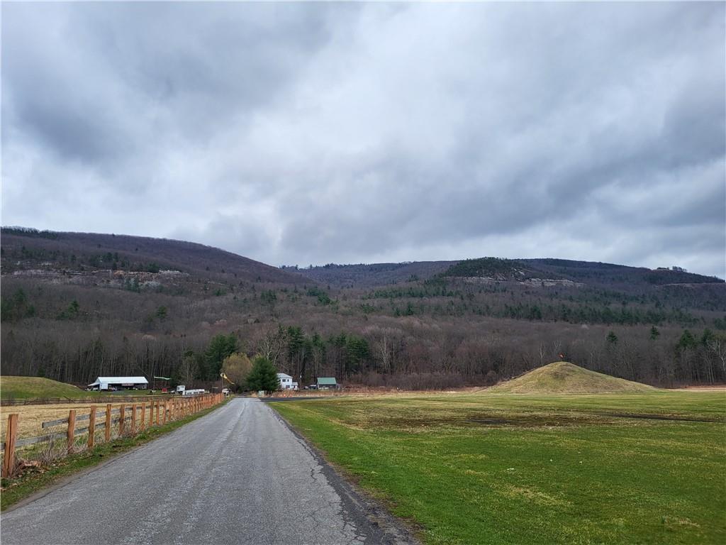 Old Plank Road, Cragsmoor, NY 12420
